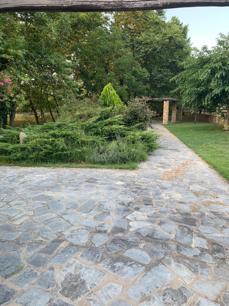 Platanorema Agios Ioannis Prodromos Dış mekan fotoğraf