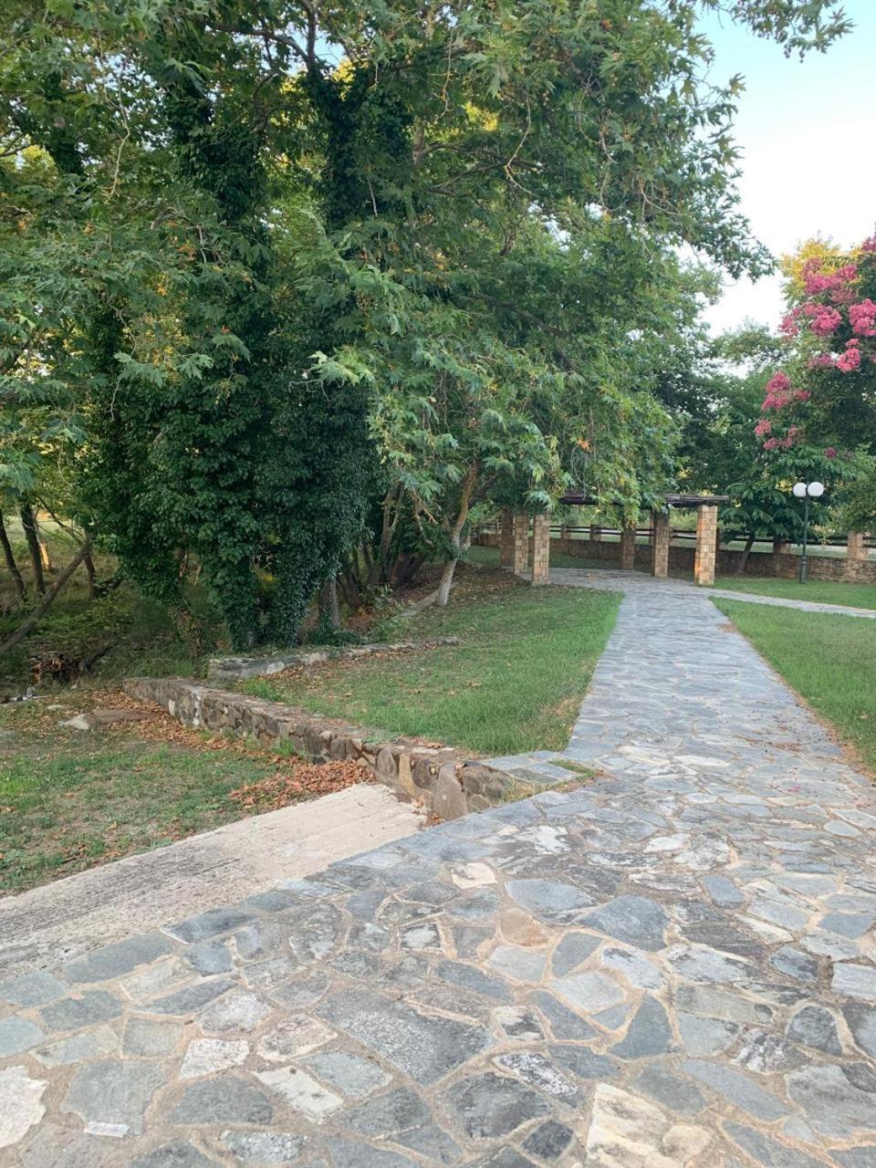 Platanorema Agios Ioannis Prodromos Dış mekan fotoğraf